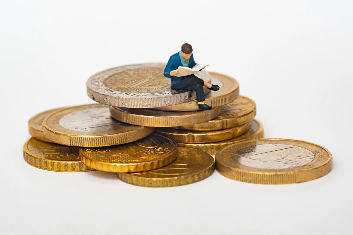 Optimisation fiscale légale pour particuliers en Algérie