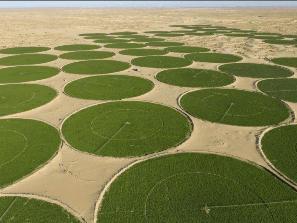 agriculture a tazrouk le defi de l altitude a