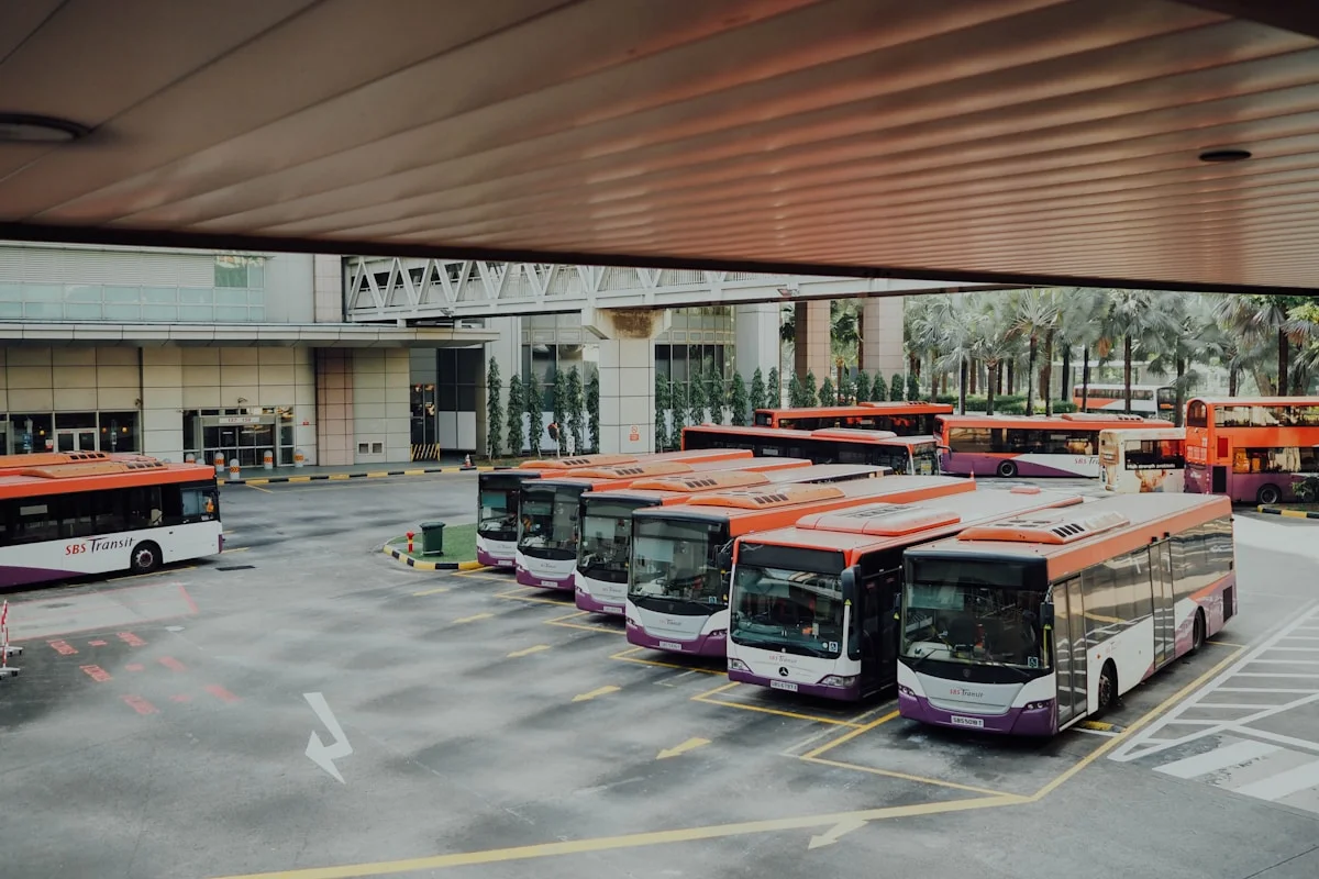importation de bus les modalit s de d douanement et d exon ration des droits et taxes fix es