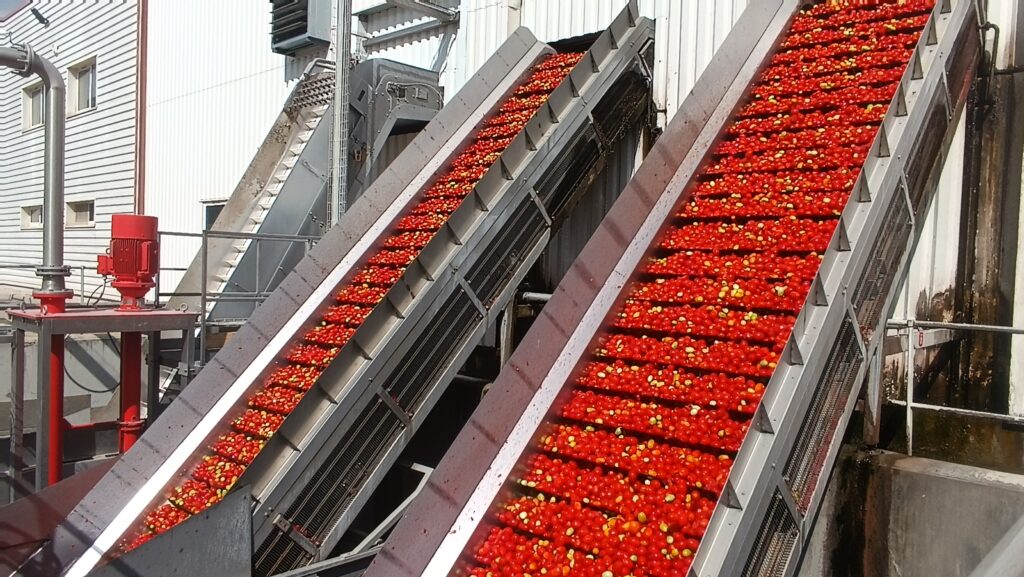 tomate industrielle plus de 1 2 million de